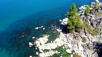 de klippig kust av sjö tahoe i Kalifornien. kristall klar och transparent vatten. topp se natur video