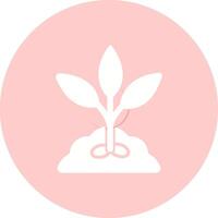 Seed Vector Icon