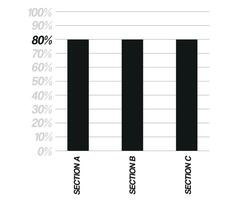 80 percent bar chart. Design three sections, black percentage bars isolated on white background. Vector for balance sheet and finance