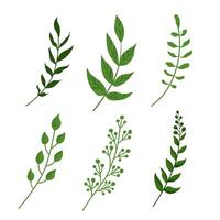 Spring isolated green sprigs of grass. Vector clipart with single plants for design, greeting card, banner, board, flyer, sale, poster