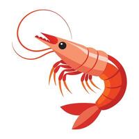 Shrimp flat vector illustration on white background.