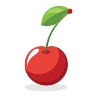 Cherry flat vector illustration on white background