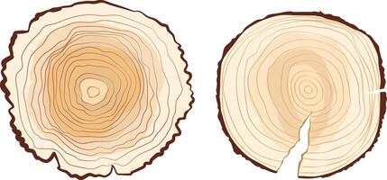 sliced tree trunk or wood texture vector