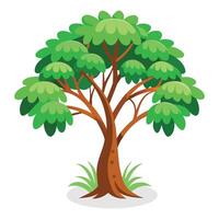 Tamarindo pequeño árbol aislado plano vector ilustración