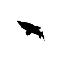 Beluga Sturgeon or Huso Fish Silhouette, Flat Style, Fish Which Produce Premium and Expensive Caviar, For Logo Type, Art Illustration, Pictogram, Apps, Website or Graphic Design Element. Vector