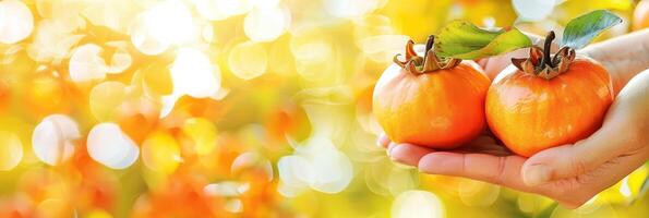 AI generated Hand holding ripe persimmon with selection on blurred background, copy space available photo
