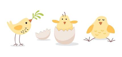 pequeño Pascua de Resurrección aves colocar. linda amarillo pollos aislar ilustración. Días festivos primavera invitación. primavera estado animico dibujado elementos. festivo ilustración para invitación, tarjeta postal, social medios de comunicación. vector