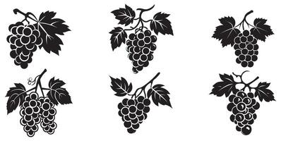 Grapes icon black and white background design. silhouette style, vector illustration.