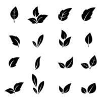 set of Leaves isolated from the background. Leaves icon different vector