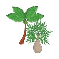 illustration of palm tree vector