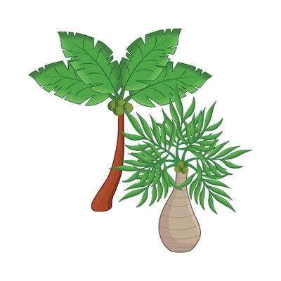 illustration of palm tree