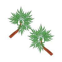 illustration of palm tree vector