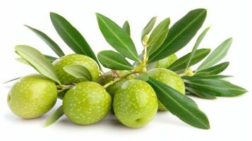 ai generado Fresco verde aceituna Fruta aislado en un limpiar blanco antecedentes para óptimo visibilidad foto