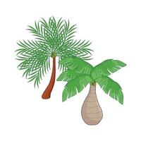 illustration of palm tree vector