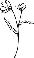 Floral Line Art, Botanical Flower Vector Illustration