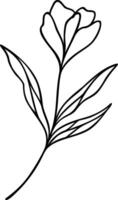Flower Line Art, Botanical Floral Vector Illustration