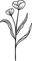 Floral Line Art, Botanical Flower Vector Illustration