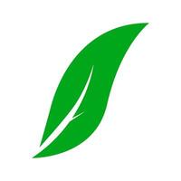 Green natural leaf. leaf icon vector