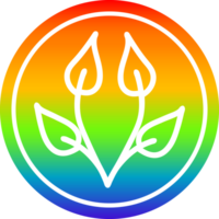 natural leaf circular icon with rainbow gradient finish png