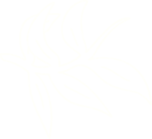 desenho de giz de folhas png