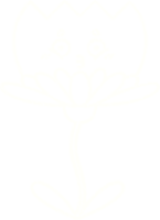 disegno a gessetto di fiori png