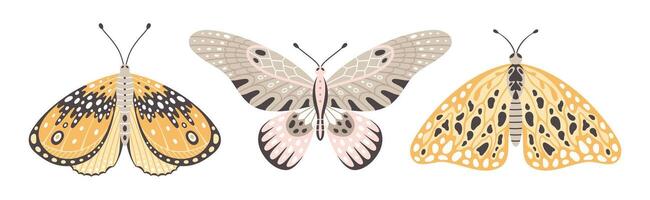 vistoso mariposas y polillas, un conjunto de Tres vector ilustraciones. mosca insecto alas con resumen ornamento, frente vista, un símbolo para tatuaje diseño. verano antecedentes