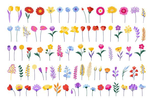 Colourful floral set. Blossom flower, wildflower in flat design style. Spring and summer meadow plants, vector illustration