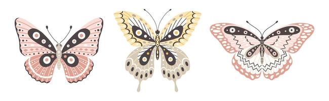 Butterfly set, three elements, vector illustration. Colourful wings with abstract ornament, front view, a symbol for tattoo design. Summer background, fly insect