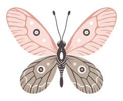 Butterfly icon, vector illustration. Colourful wings with abstract ornament, front view, a symbol for tattoo design. Summer background, fly insect