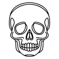 skull and crossbone vector