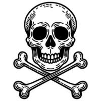 skull and crossbone vector
