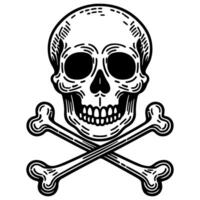 skull and crossbone vector