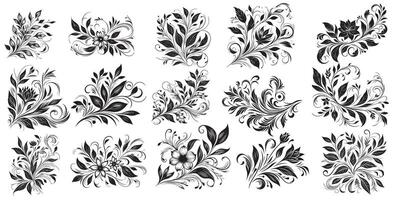 hand draw of beautiful floral ornament black leaves. Contour Flower leaf set element vector