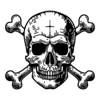 skull and crossbone vector