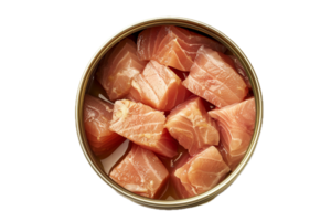 AI generated Canned Tuna Chunks in Oil png