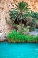 Little pond in Chebika oasis at border of Sahara, Tunisia, Africa photo