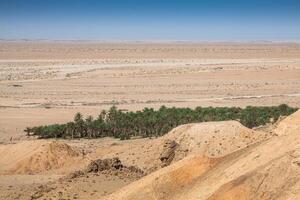 montaña oasis tamerza en Túnez cerca el frontera con Argelia foto