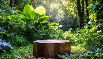 AI generated podium mockup made of wood, displayed in a lush garden photo