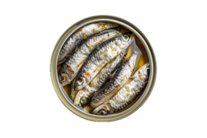 ai généré en conserve sardines dans pétrole ouvert étain pouvez png