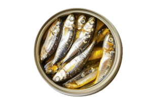 ai gegenereerd ingeblikt sardines in olie Open blik kan PNG