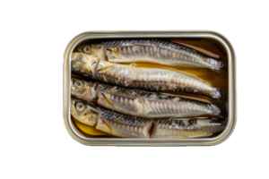 ai gerado enlatado sardinha dentro óleo aberto lata pode png