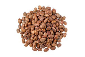 AI generated Pinto Beans Heap png