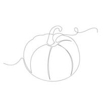 calabaza vegetal continuo uno línea vector Arte dibujo y ilustración