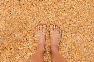 un joven mujer soportes descalzo en el arena en un soleado verano día. parte de el cuerpo. Disparo punto de vista. blanco espacio para inspirador, contento texto, citar o dicho. foto