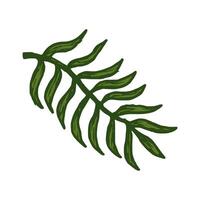 natural tropical hojas vector logo modelo ilustración eps 10