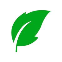 Green natural leaf. leaf icon vector