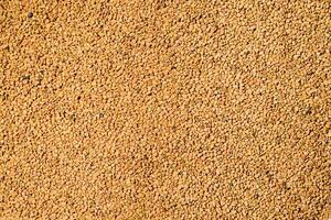 Fenugreek grain texture background. Helba yellow Egyptian tea, top view photo