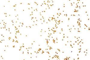 Scattered fenugreek grains isolated on white background, top view photo