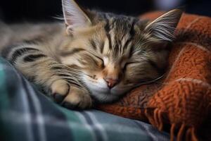 ai generado de cerca de un linda gatito dormido en sofá, linda cansado perezoso mascota gato descansando adentro foto