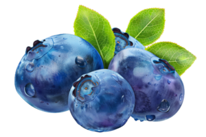 AI generated Fresh Blueberries Cluster png